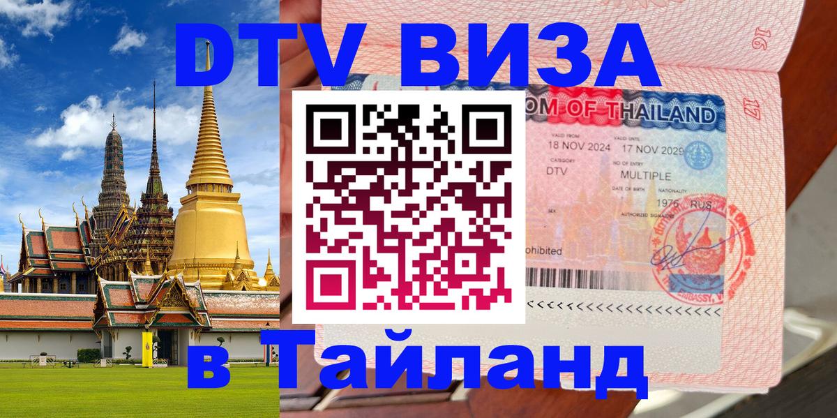 Сколько стоит DTV виза — актуальные цены, оформление даже без документов - Новосибирск 